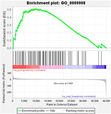 Comparative transcriptomics in alternate bearing cultivar Dashehari reveals the genetic model of flowering in mango